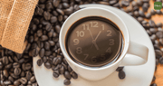 Why You Should Add Wildstud L-Carnitine Coffee to Your Fitness Routine?